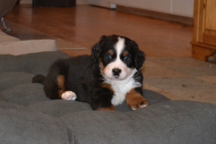 20260201_Huendin_0513_b