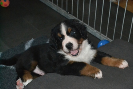 20260201_Ruede_0353_b