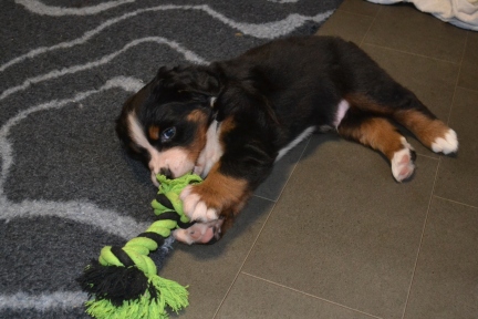 20260201_Ruede_0382_b