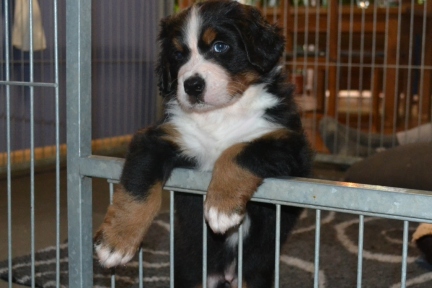 20260201_Ruede_0407_b