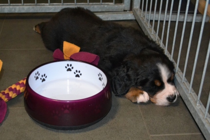 20260201_Ruede_0457_b