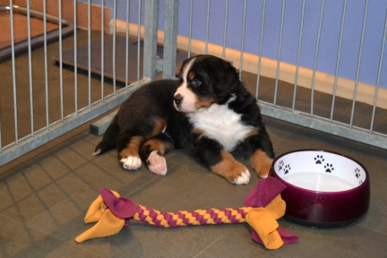 20260201_Ruede_0463_b