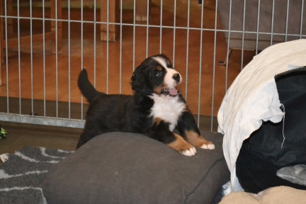 20260201_Ruede_0503_b