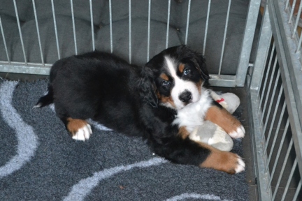 20260208_Ruede_0571_b