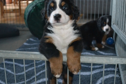 20260208_alle_0587_b