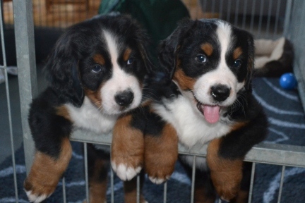 20260208_alle_0595_b