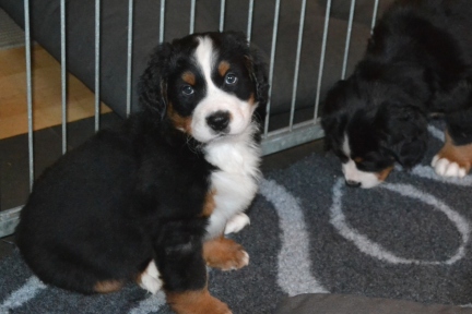 20260208_alle_0628_b