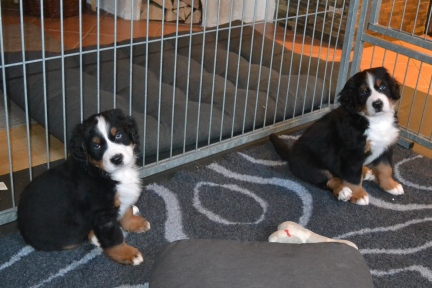 20260208_alle_0634_b